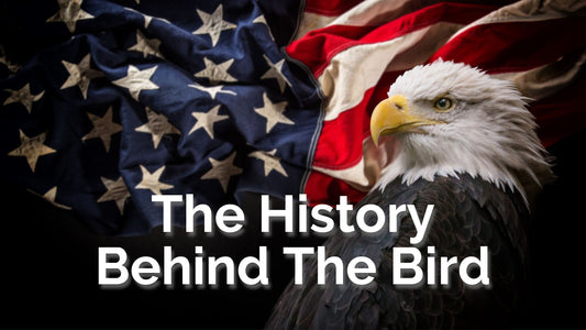 American Bald Eagle History